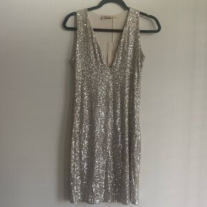 Elegant Silver Sequin Dress